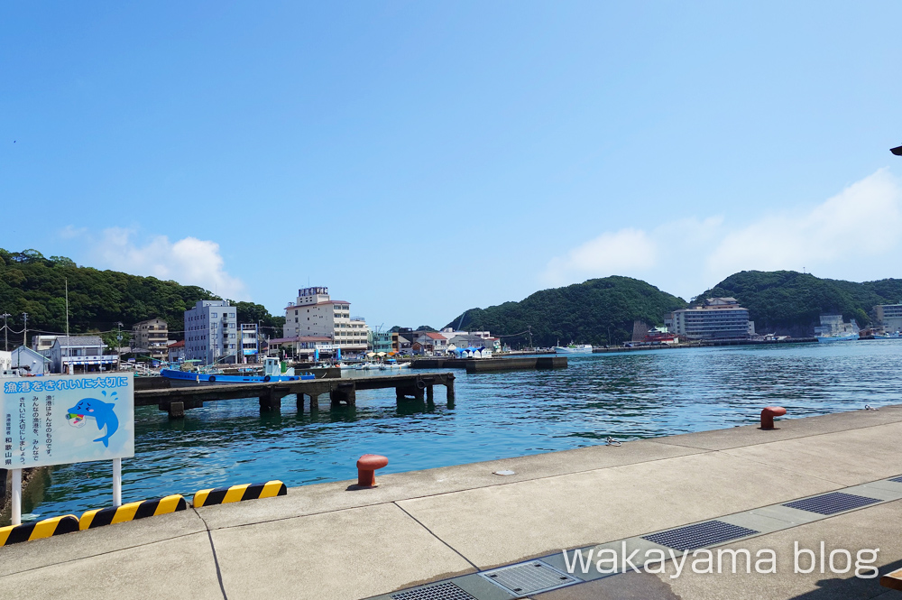 勝浦漁港にぎわい市場 景色 写真