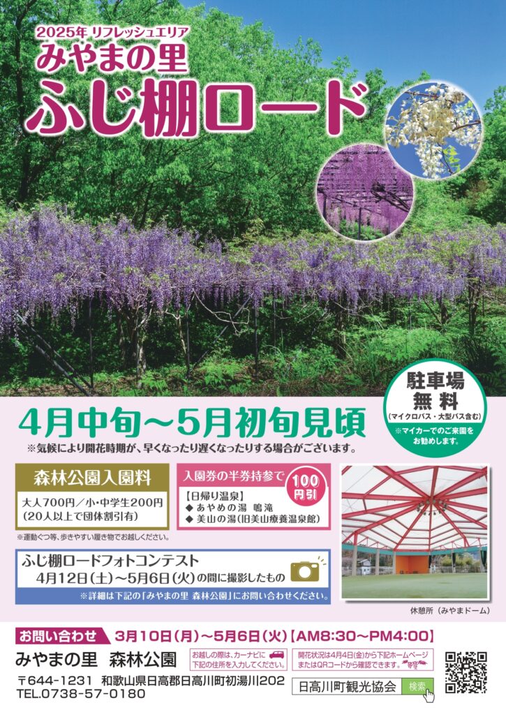 藤棚ロード 2025 チラシ