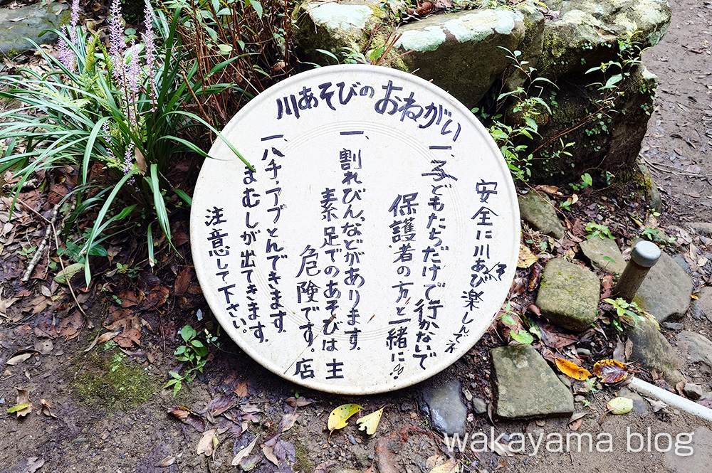 赤木渓水郷 川遊び
