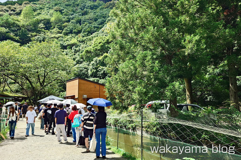 赤木渓水郷 鮎掛け(鮎釣り)行列