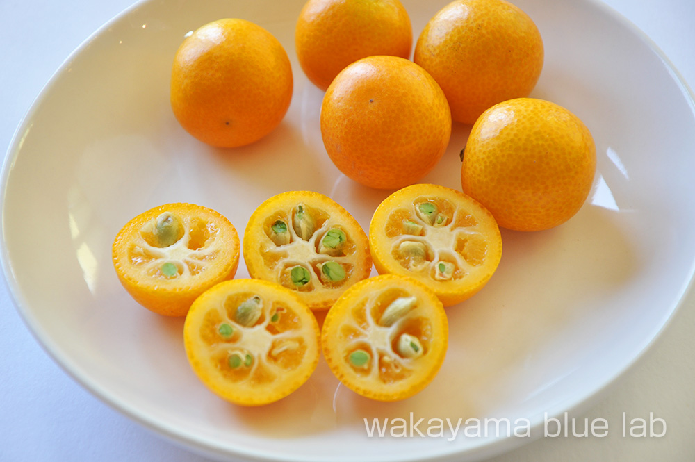 金柑 まるごと 皮ごと食べる