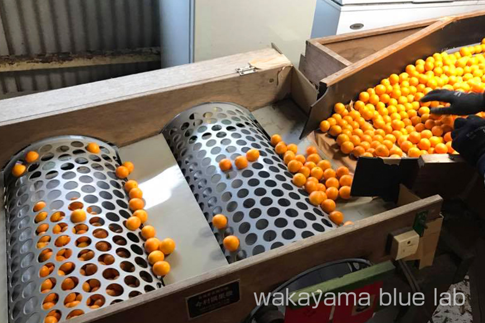 サイズ選別方法