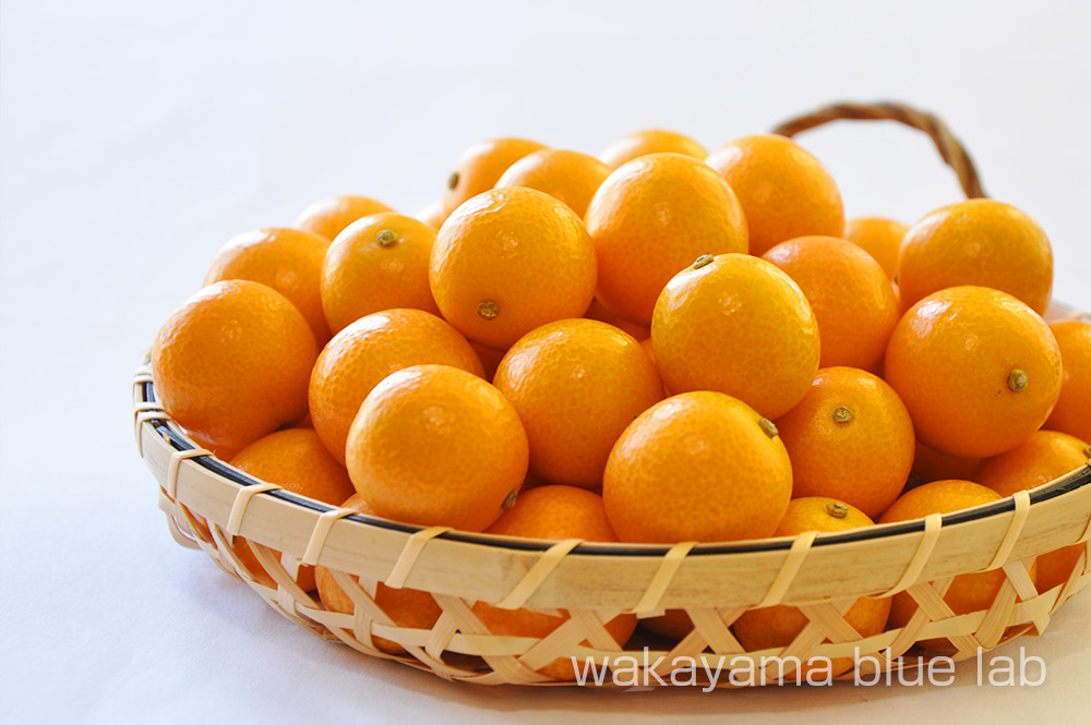 美味しい金柑の見極め方