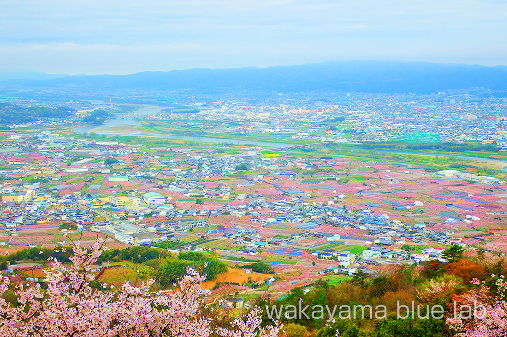 和歌山県 紀の川市 桃山町
