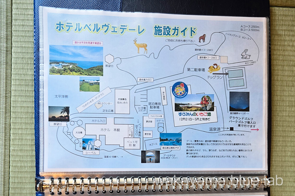 ホテルベルヴェデーレ 館内アップ
